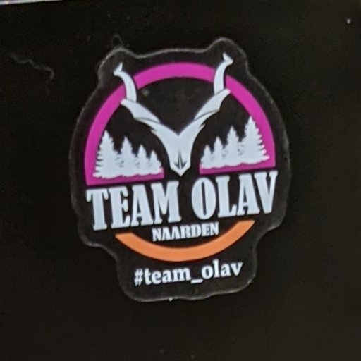 Team Olav Raam Sticker